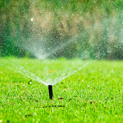 Emerald Live Green Water Wise