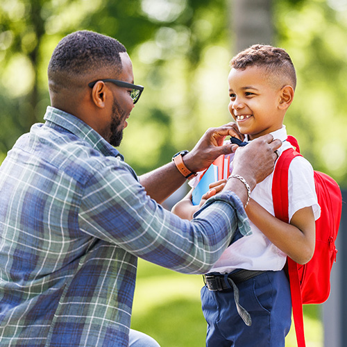 Emerald Surroundings Schools